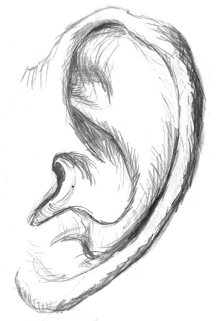 Es una Oreja