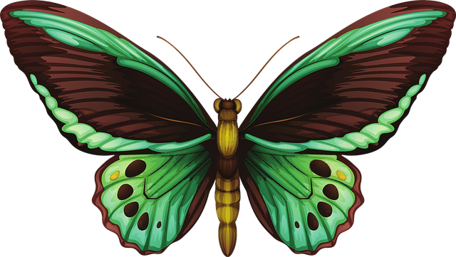 Mariposa