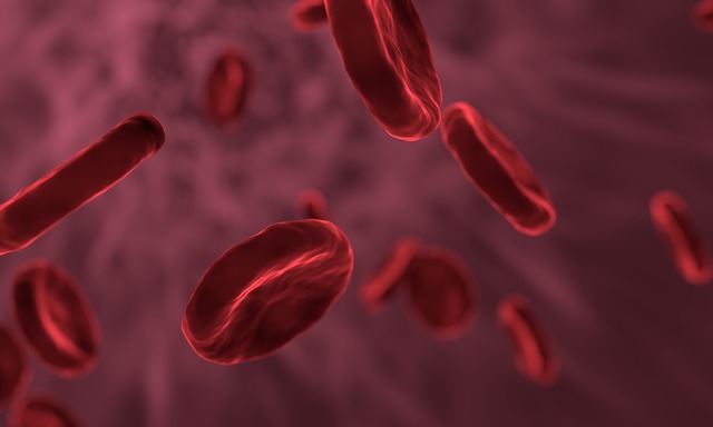 Globulos Rojos