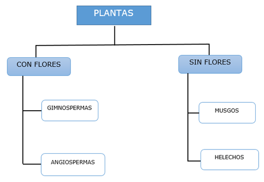 calsificación de las plantas