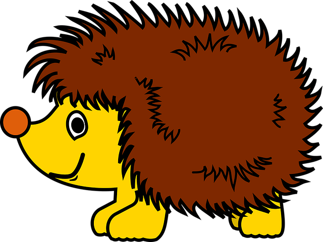 Erizo