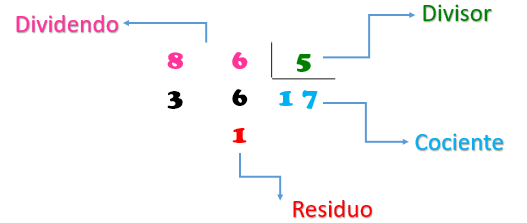 partes de la división