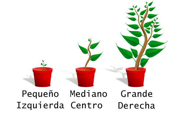 Pocisión y ubicación