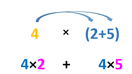Propiedad distributiva de la multiplicación