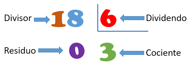 Partes de la división